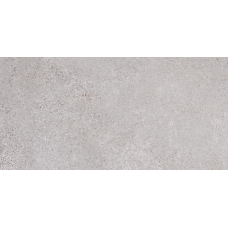 Керамогранит Lasselsberger Трэверс 6260-0191-1001 30*60,3 светло-серый Керамогранит Lasselsberger Трэверс 6260-0191-1001 30*60,3 светло-серый